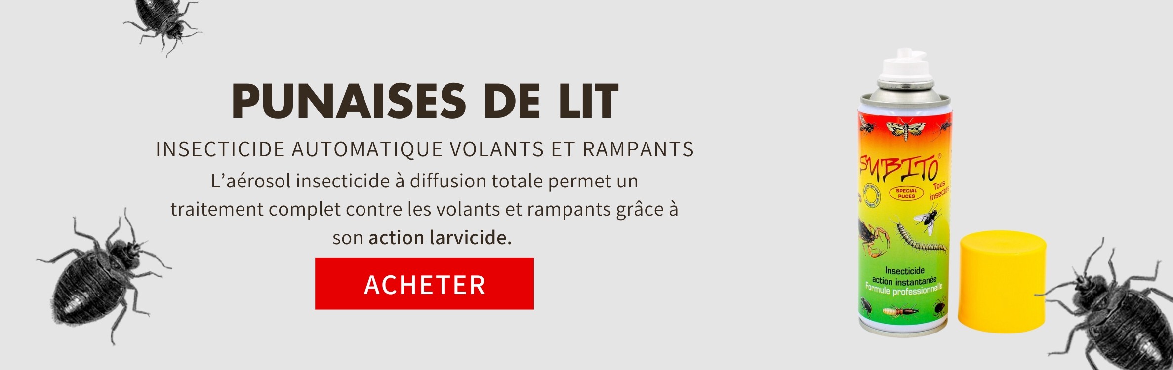 Insecticide automatique contre les volants et rampants 100 m3 de Subito